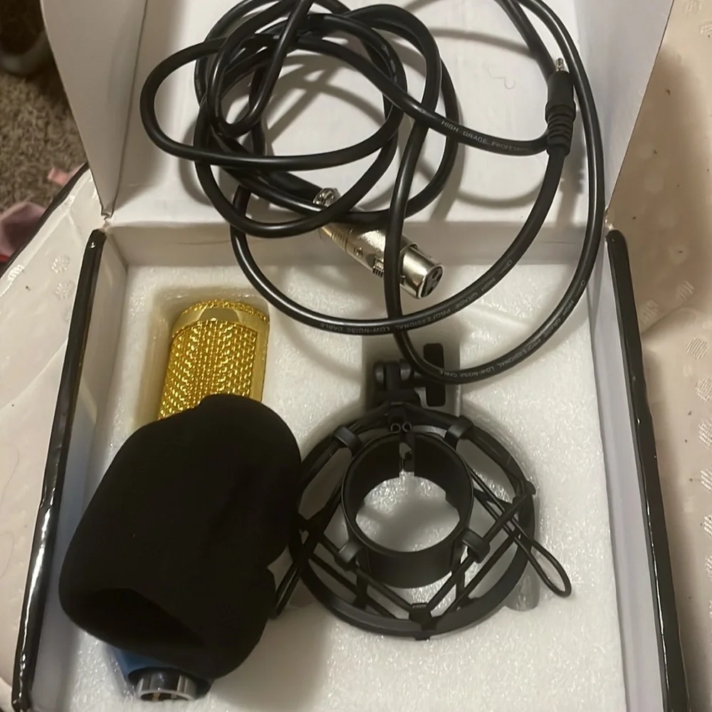Cisno Professional Condenser Microphone